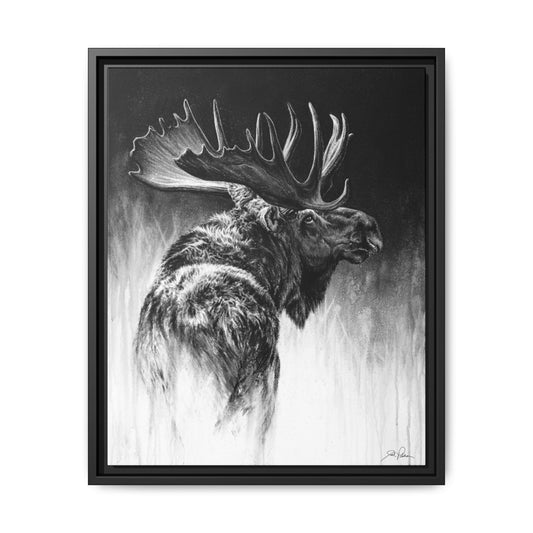 "Bull Moose" Framed Canvas