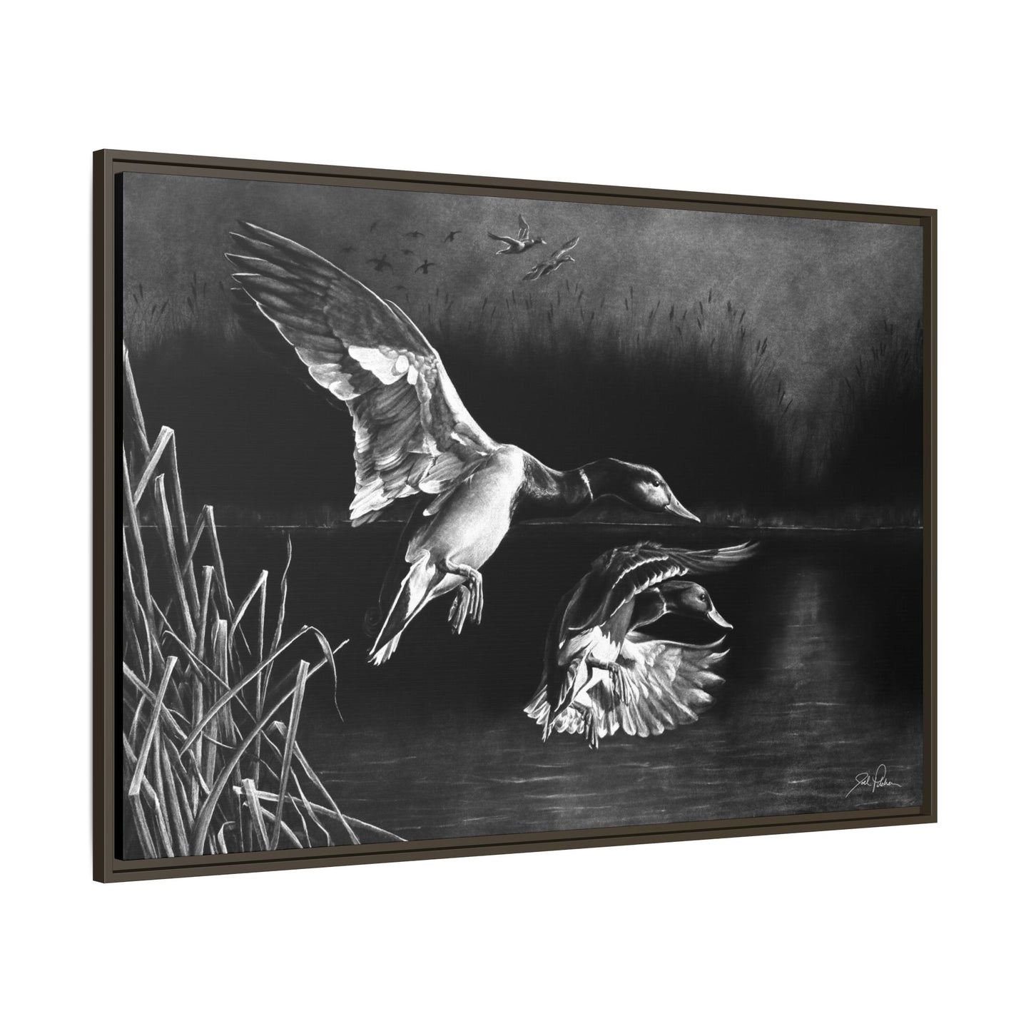 "Banded Brothers" Framed Canvas
