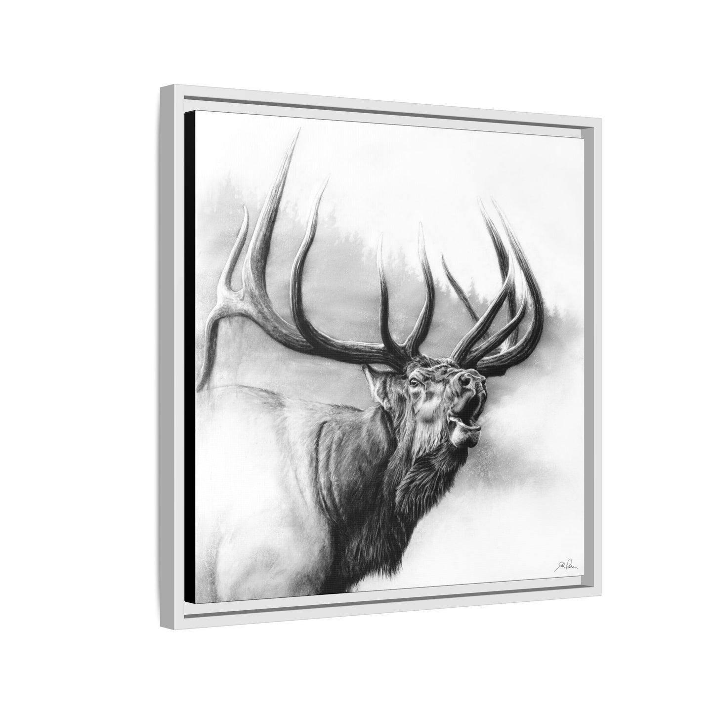 "Rocky Mountain King" Framed Canvas