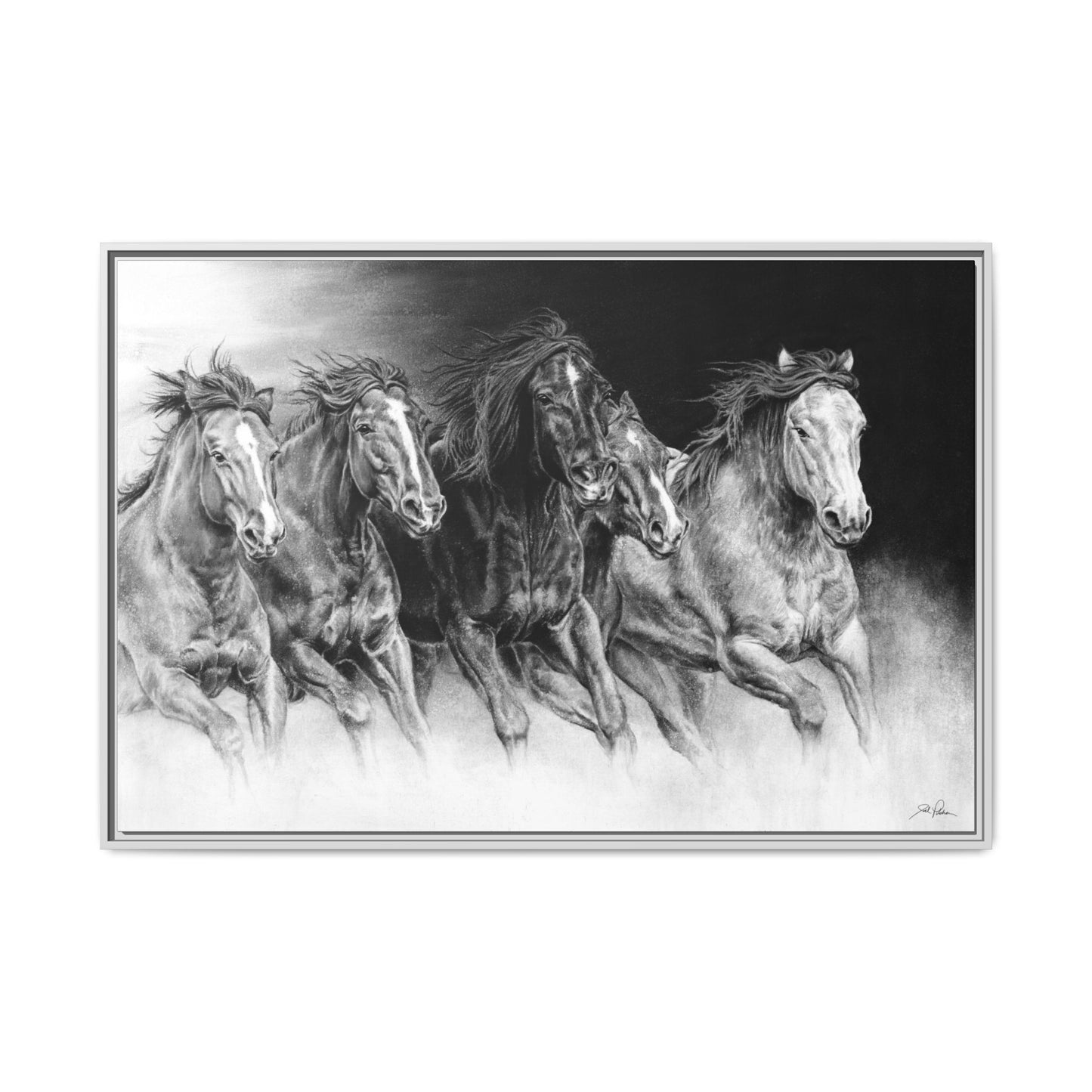 "Wild Bunch" Framed Canvas