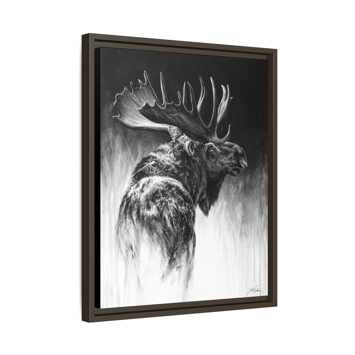 "Bull Moose" Framed Canvas