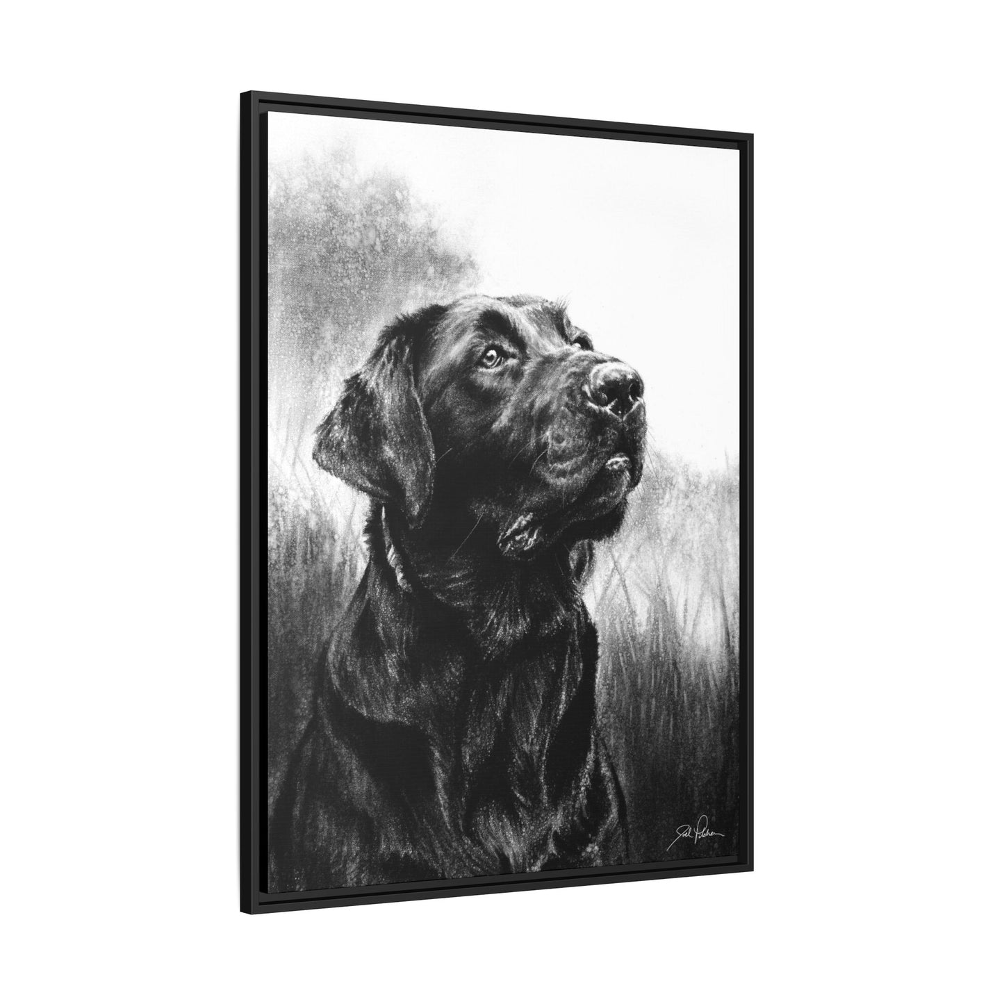 "Labrador Retriever" Framed Canvas