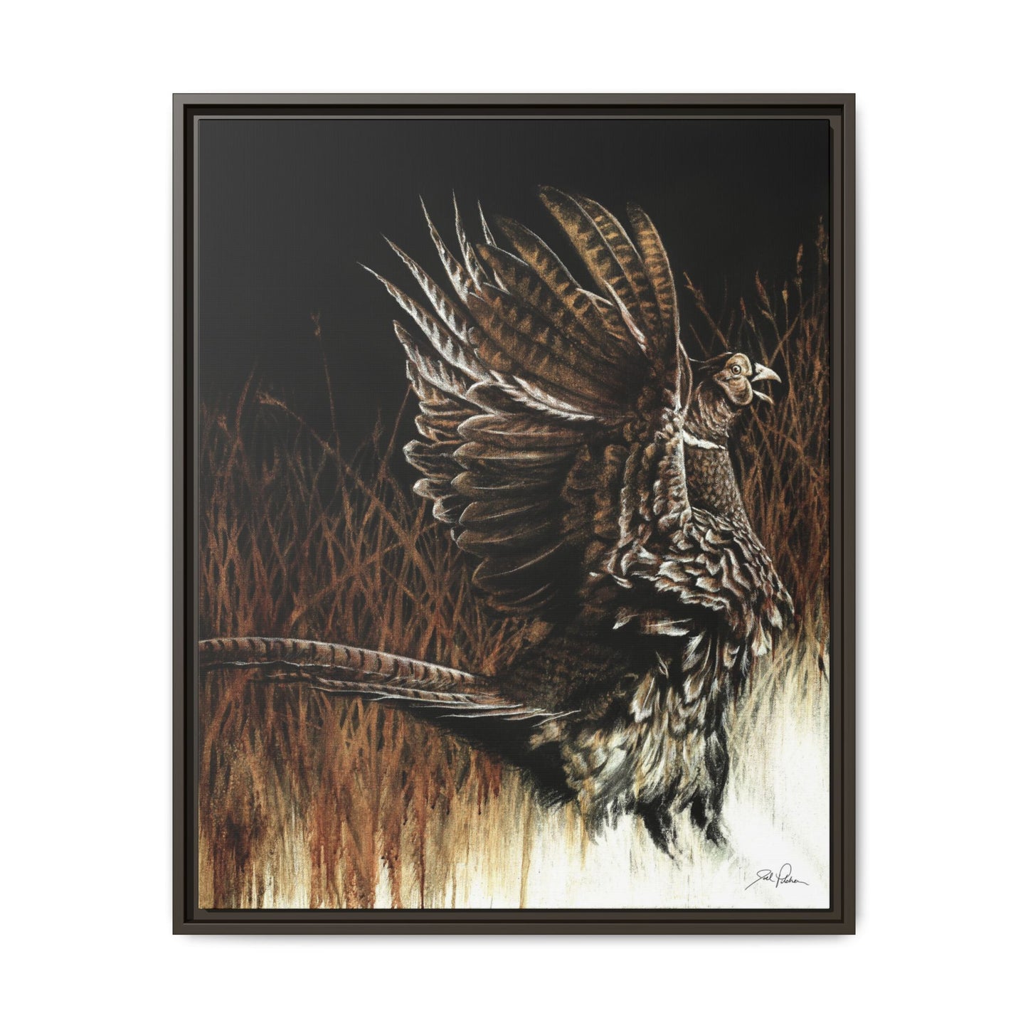 "Call of the Upland Pheasant" Framed Canvas
