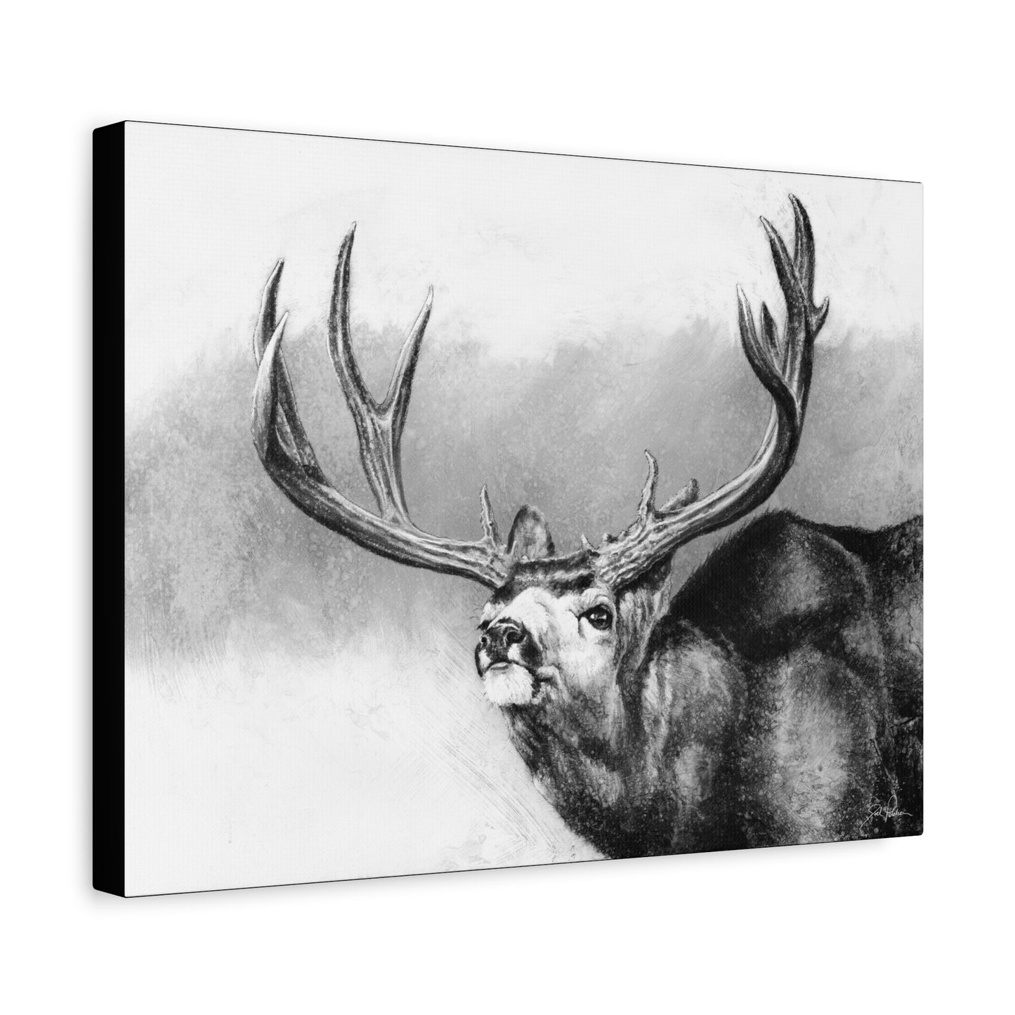 "Heavy & Wide" Stretched Canvas