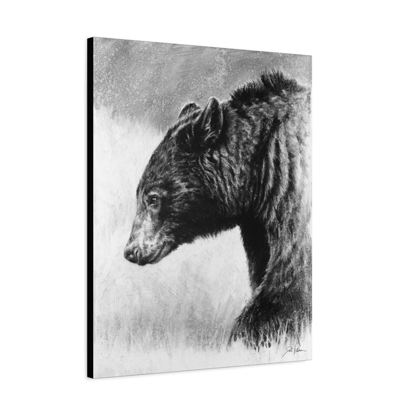 "Burly Bear" Stretched Canvas