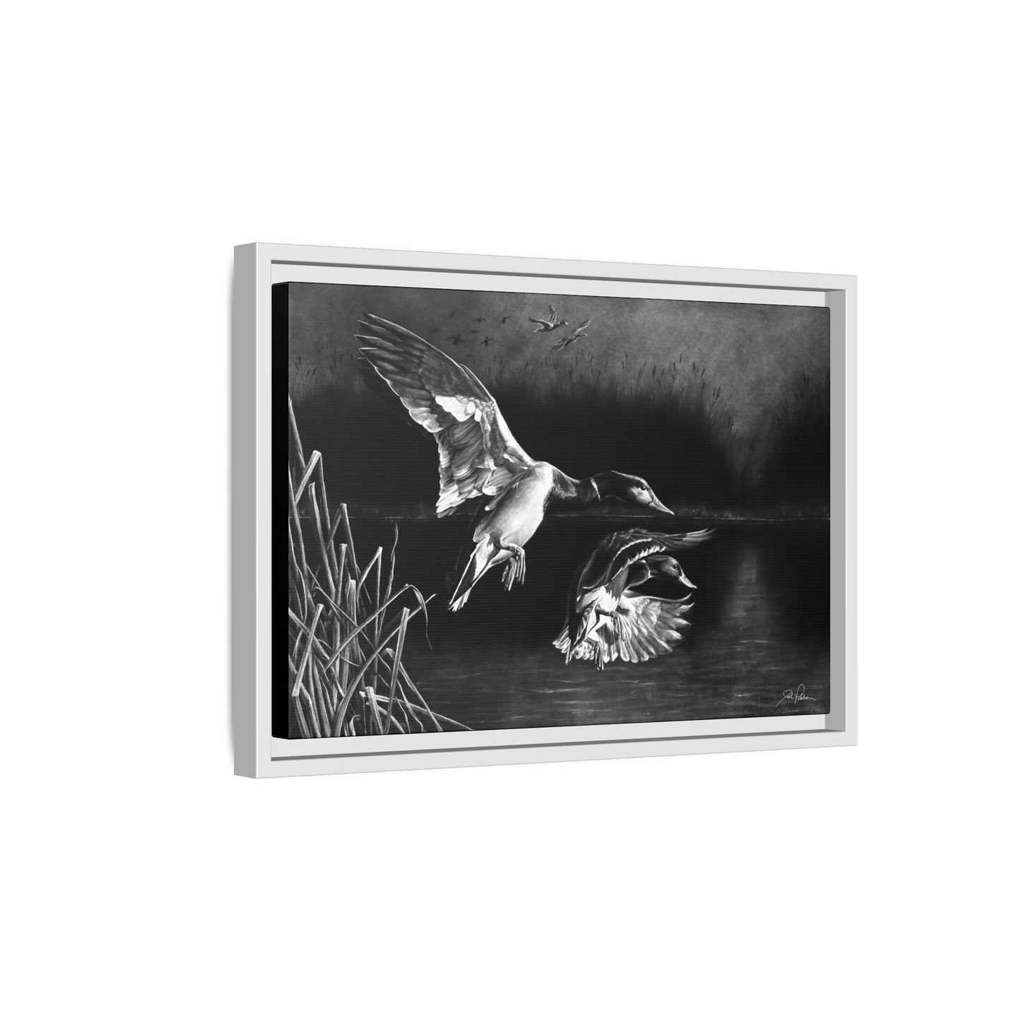 "Banded Brothers" Framed Canvas