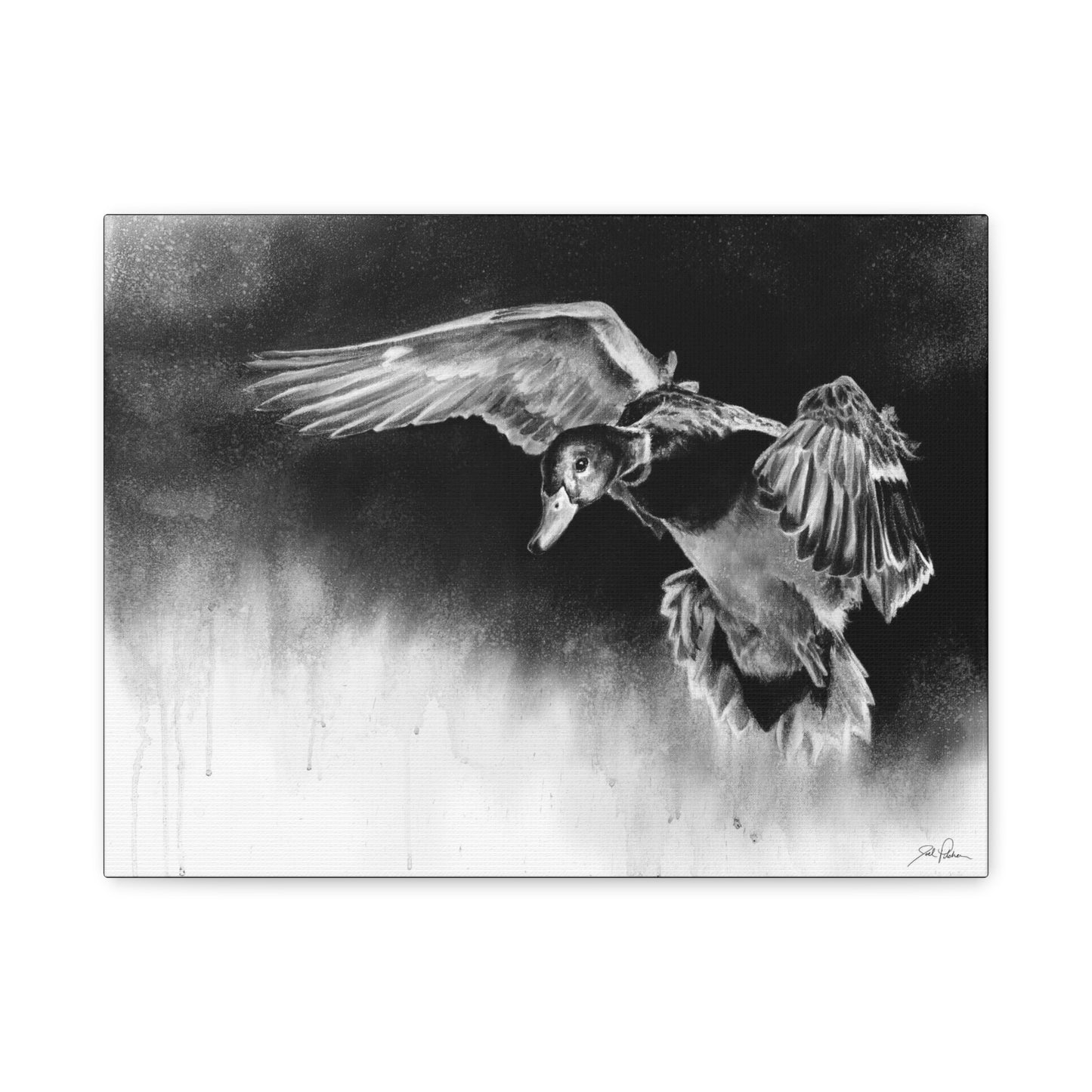 "Controlled Descent" Stretched Canvas