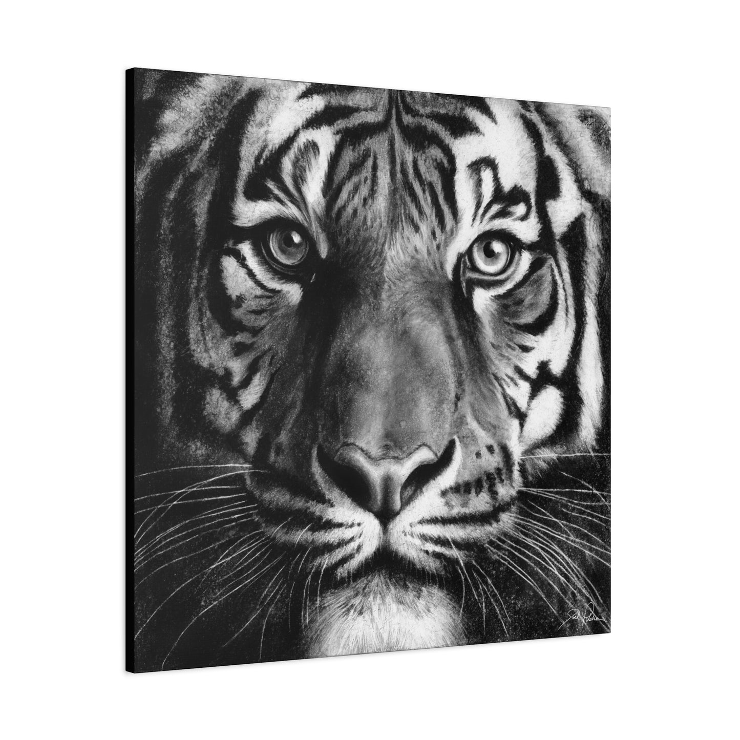 "Tiger" Stretched Canvas