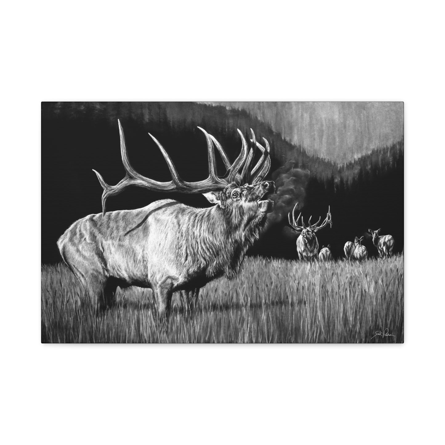 "The Contender" Stretched Canvas