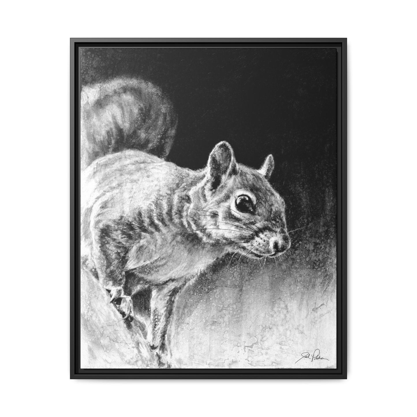 "Squirrel" Framed Canvas