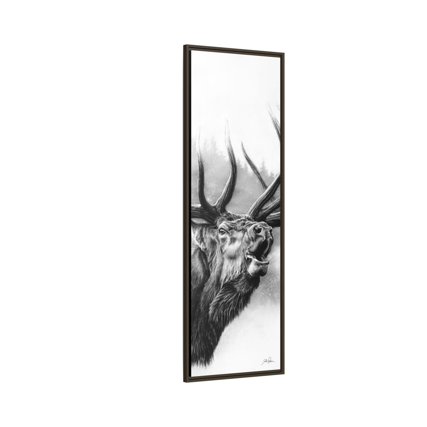 "Rocky Mountain King" Framed Canvas