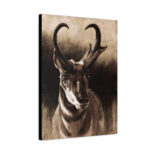 "Pronghorn" Stretched Canvas