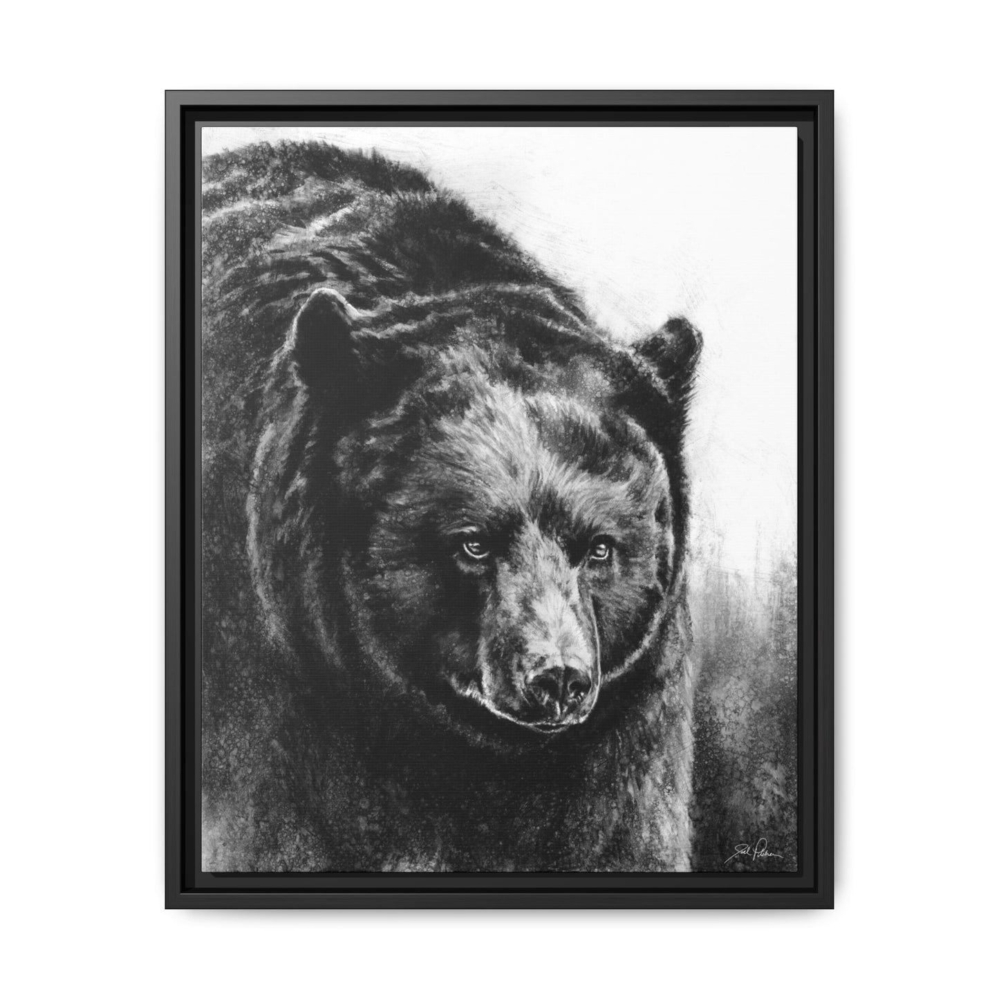 "Black Bear" Framed Canvas
