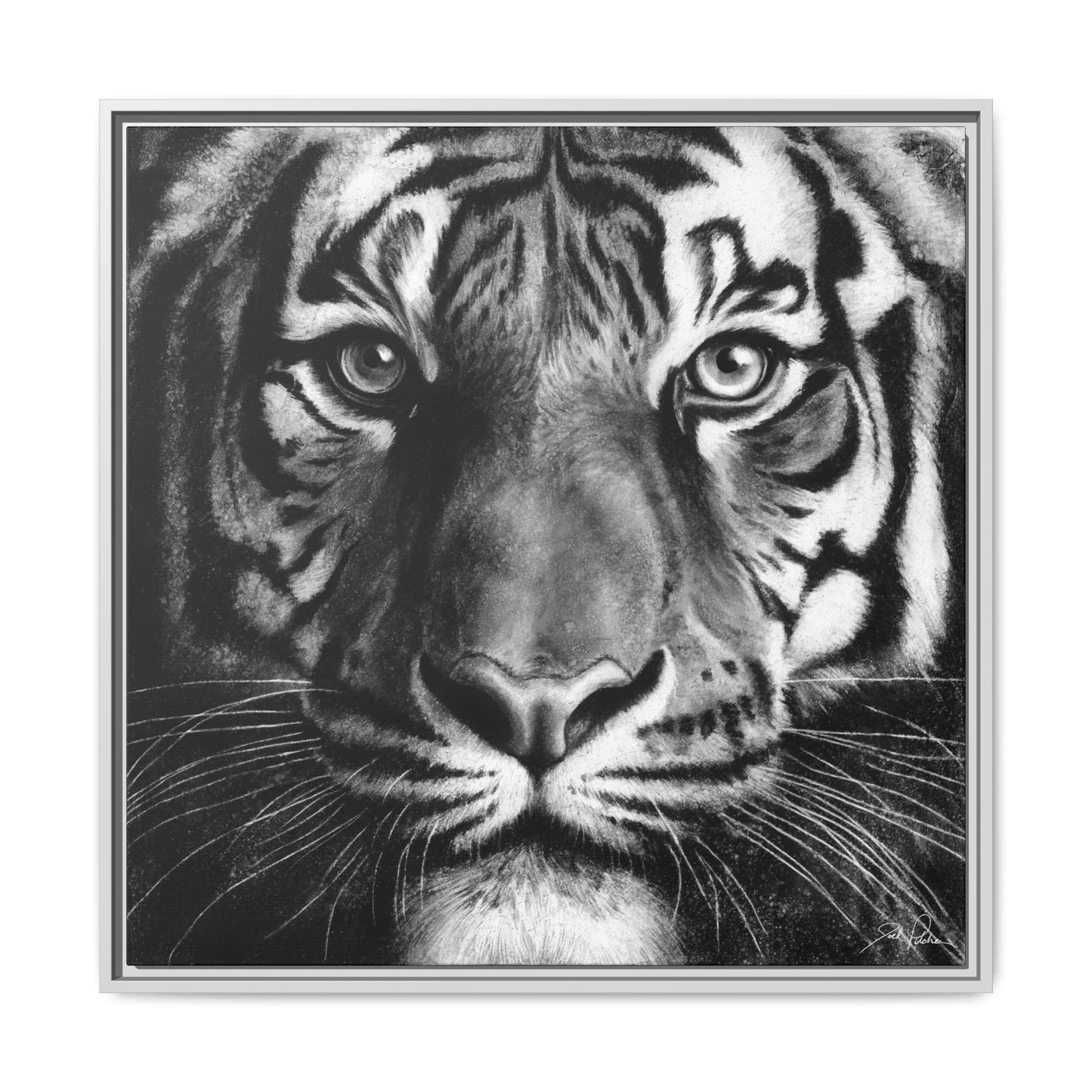 "Tiger" Framed Canvas