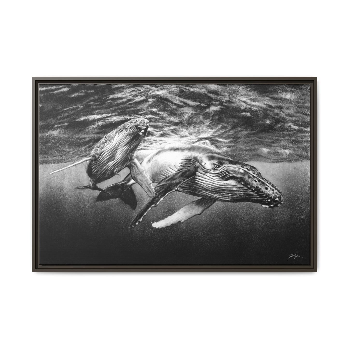 "Humpback Whales" Framed Canvas