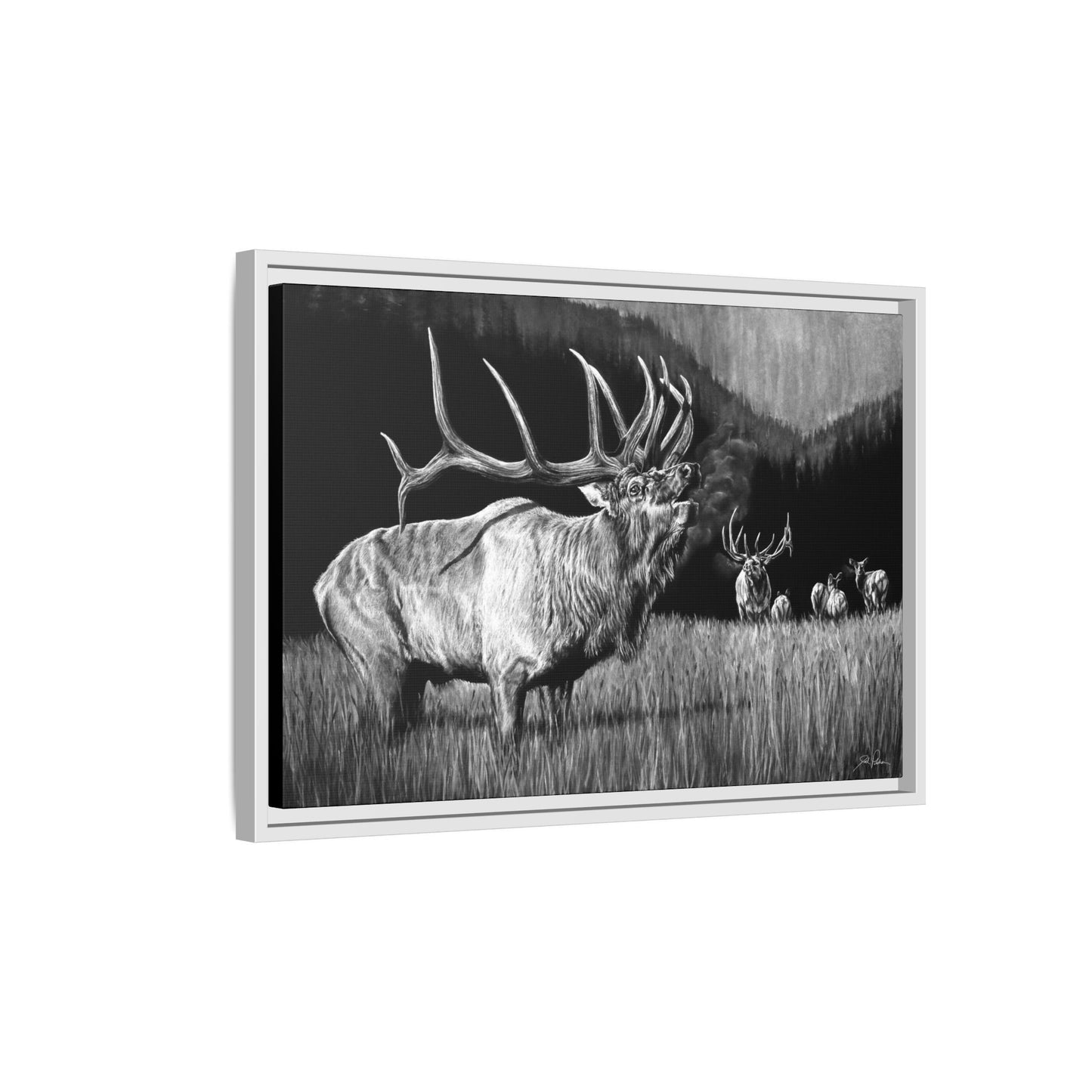 "The Contender" Framed Canvas