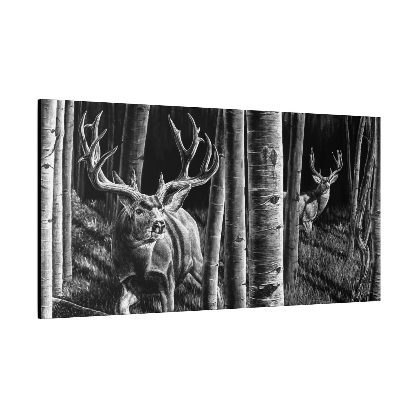 "Out of the Shadows" Stretched Canvas