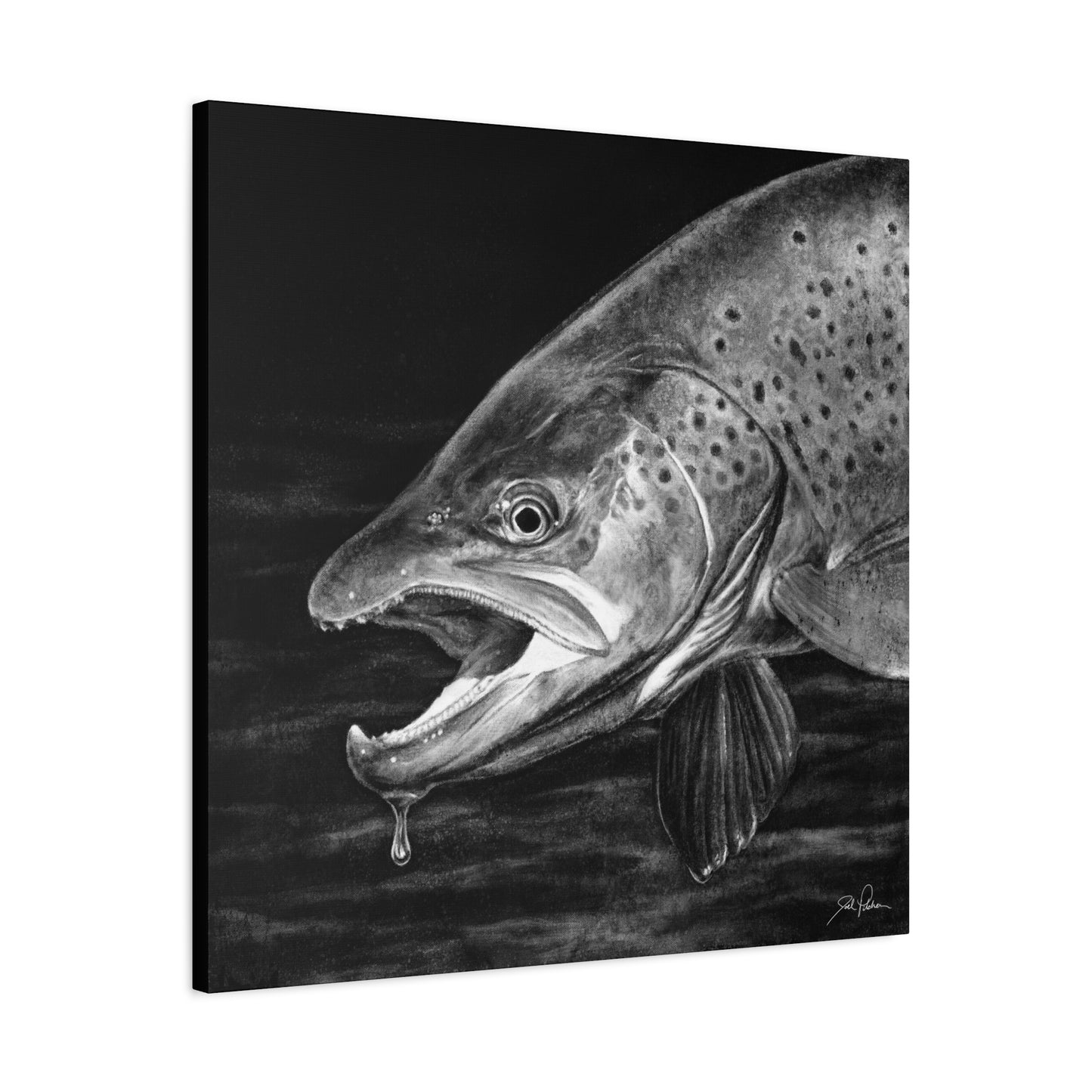 "Brown Trout" Stretched Canvas