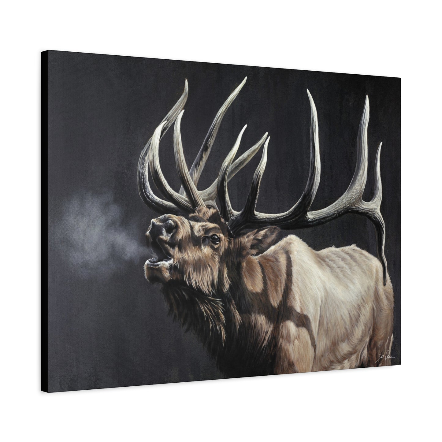 "Royal Persuasion" Stretched Canvas