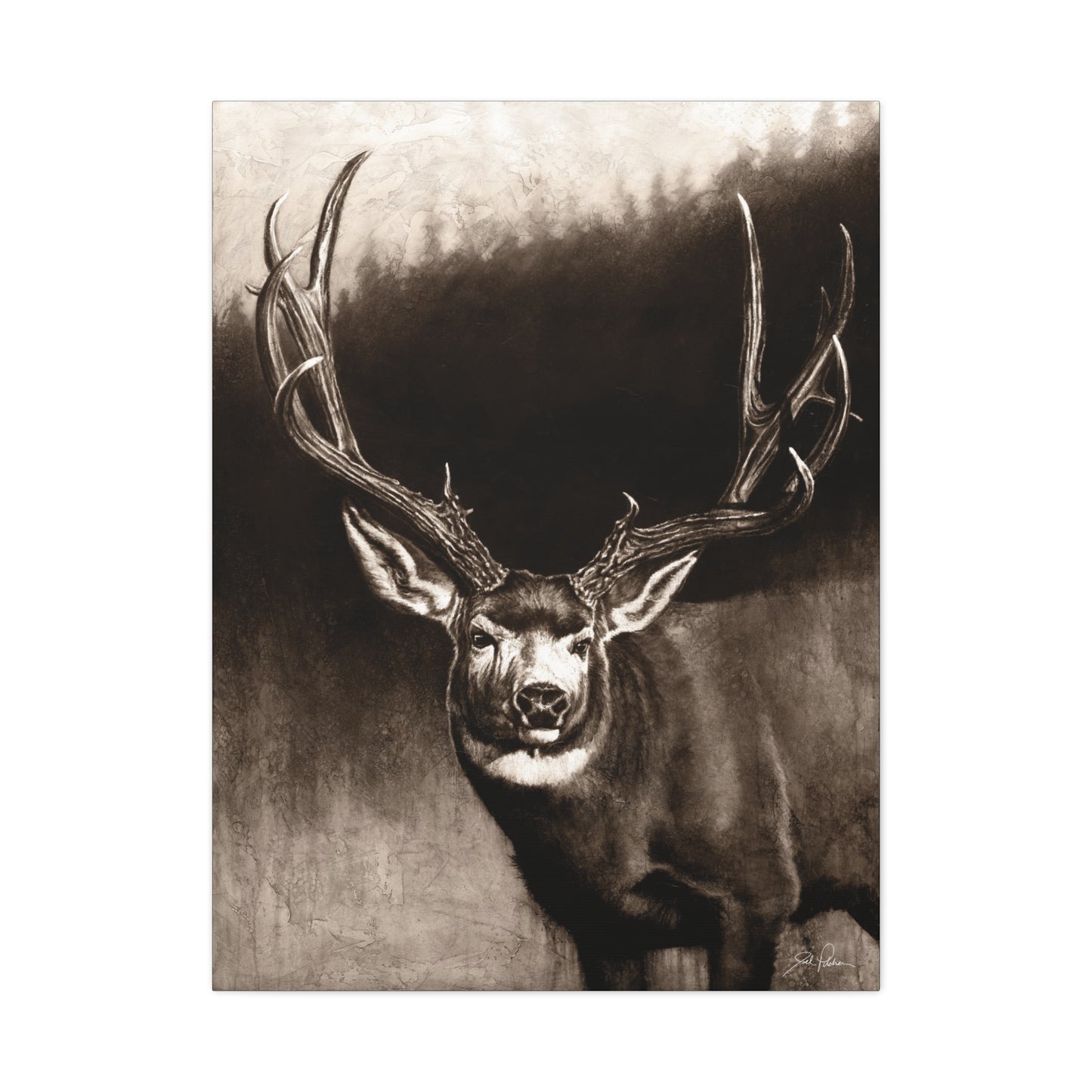 "Muley" Stretched Canvas