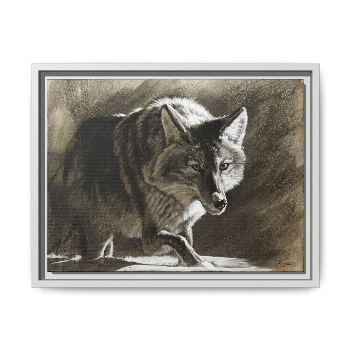 "Coyote" Framed Canvas
