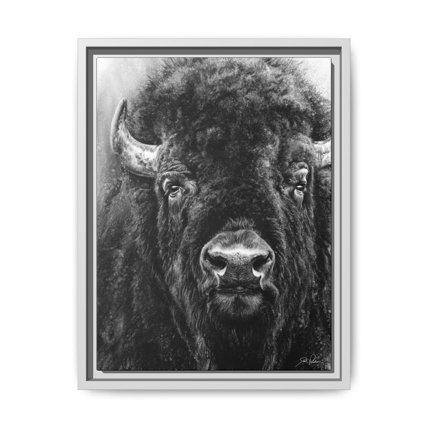 "Tatanka" Framed Canvas