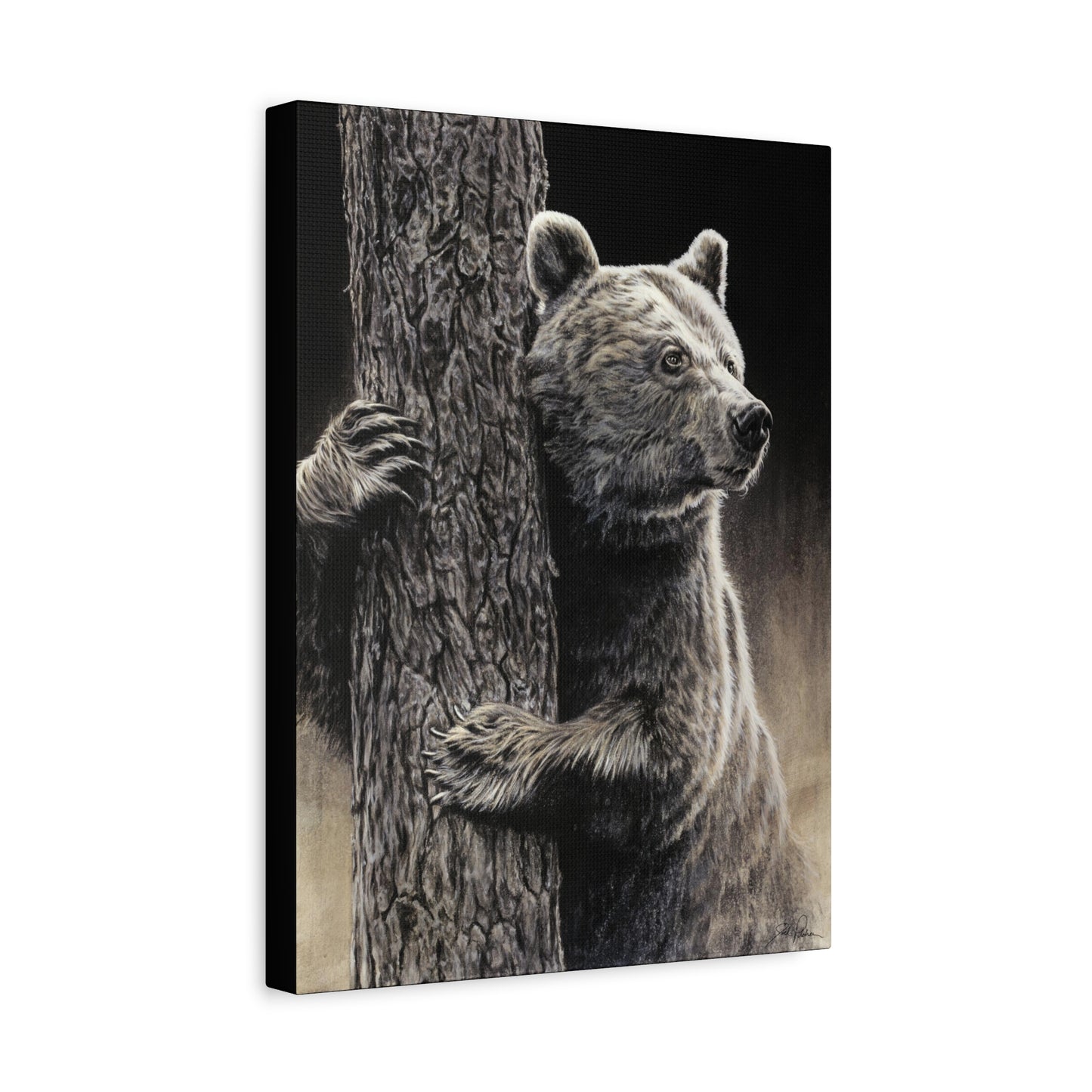 "Bear Hug" Stretched Canvas