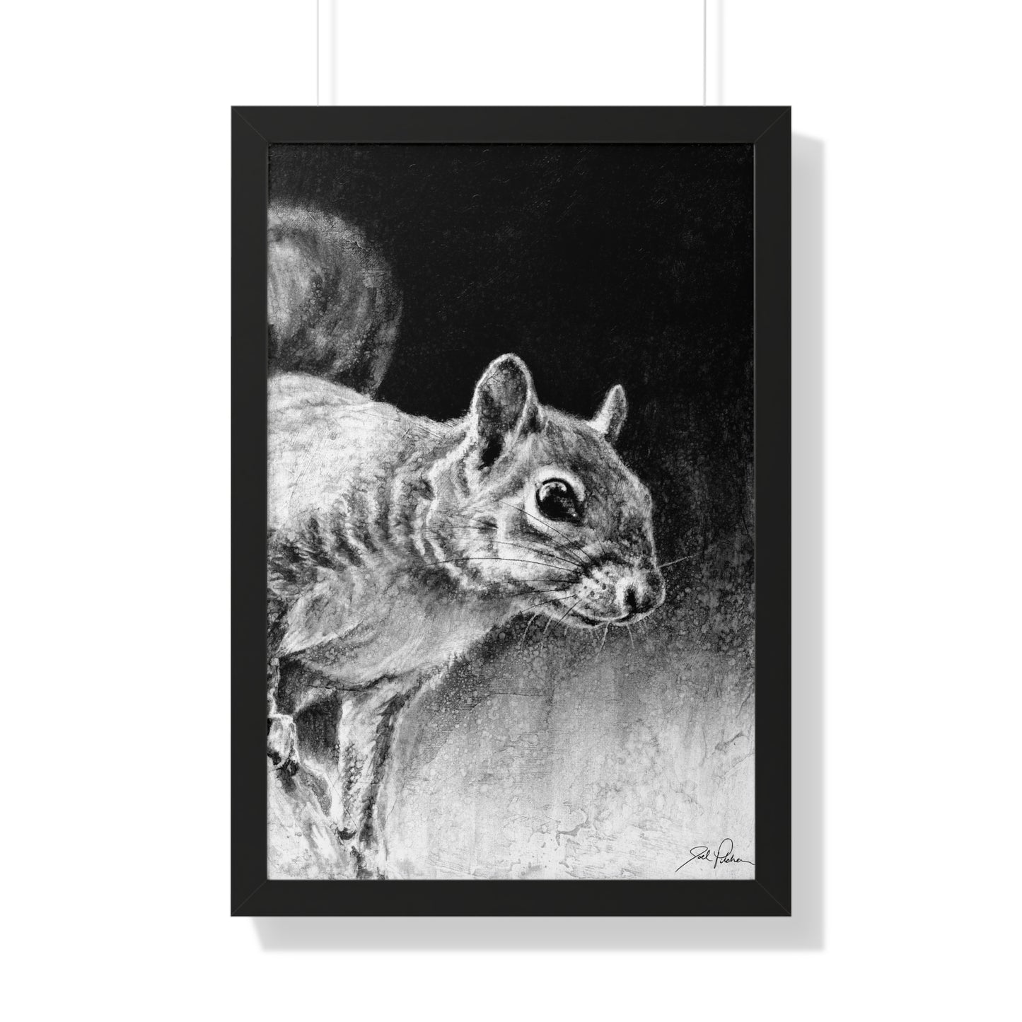 "Squirrel" Framed Paper Print