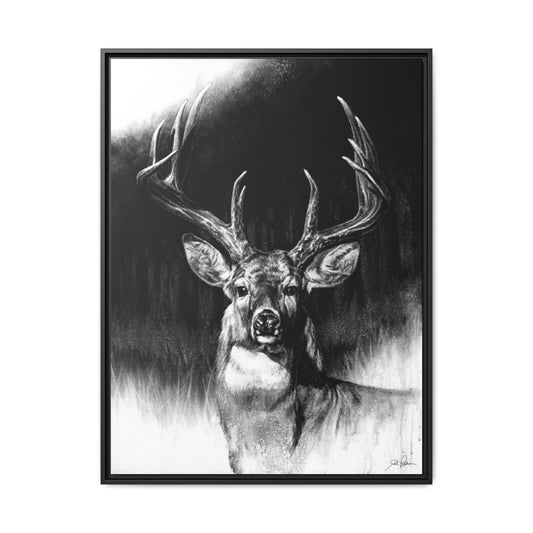 "Whitetail" Framed Canvas