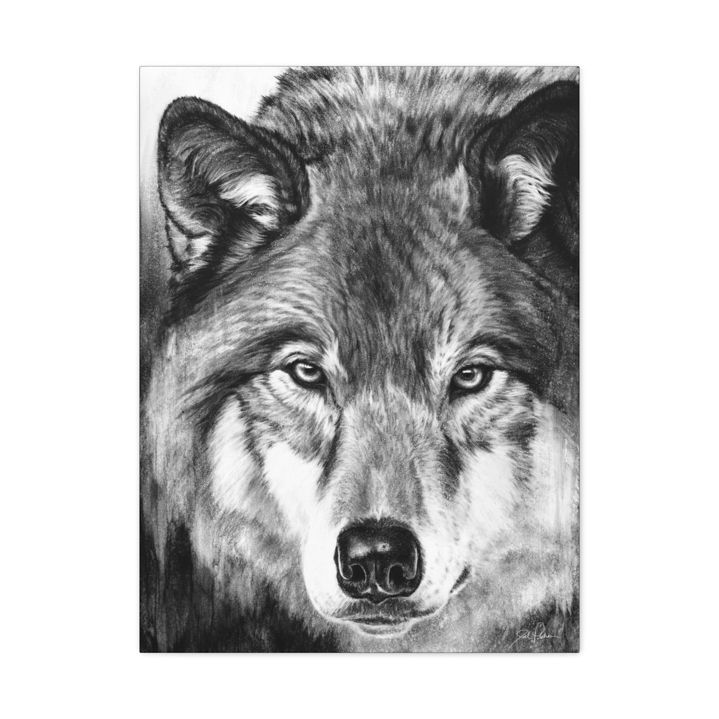 "I See You" Stretched Canvas
