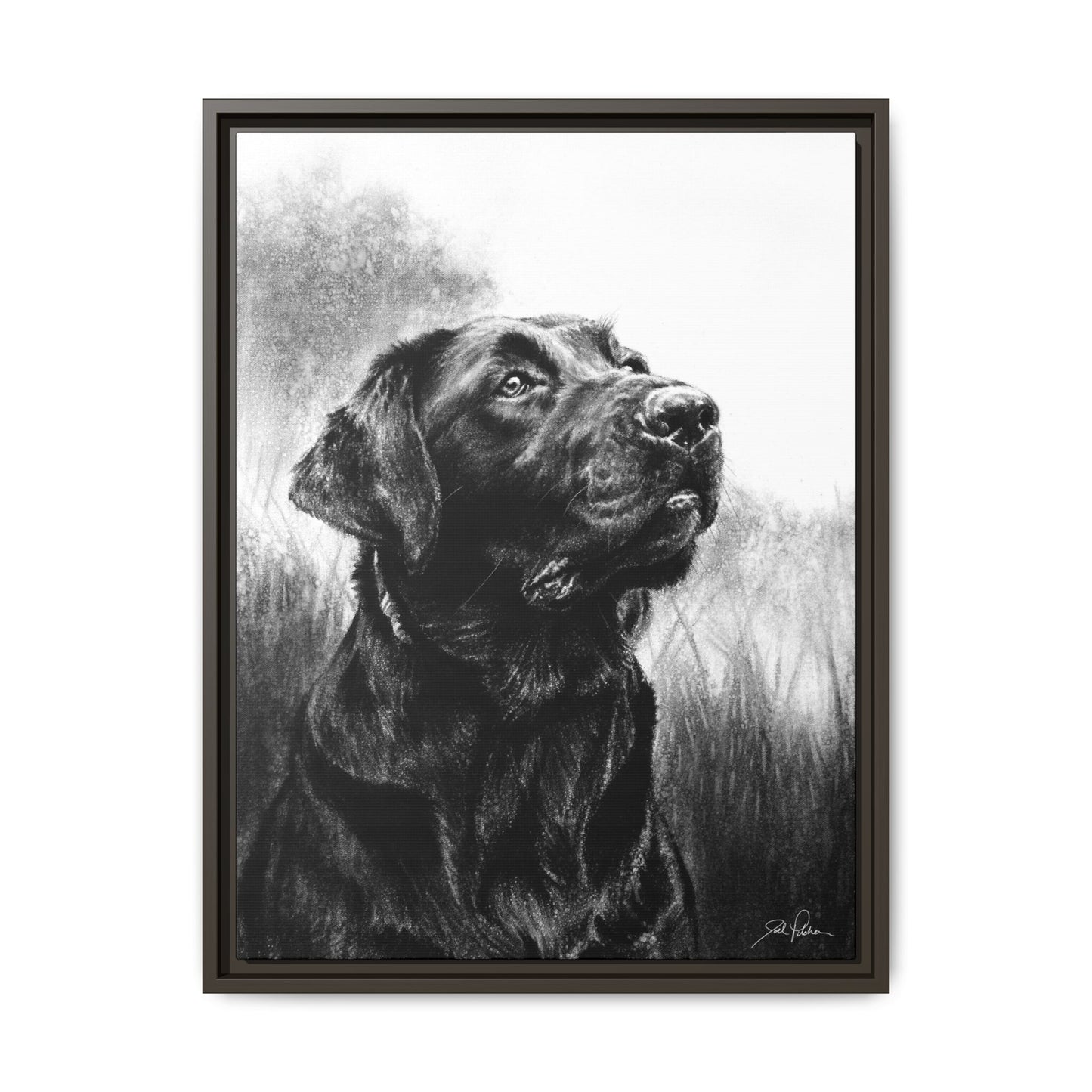 "Labrador Retriever" Framed Canvas