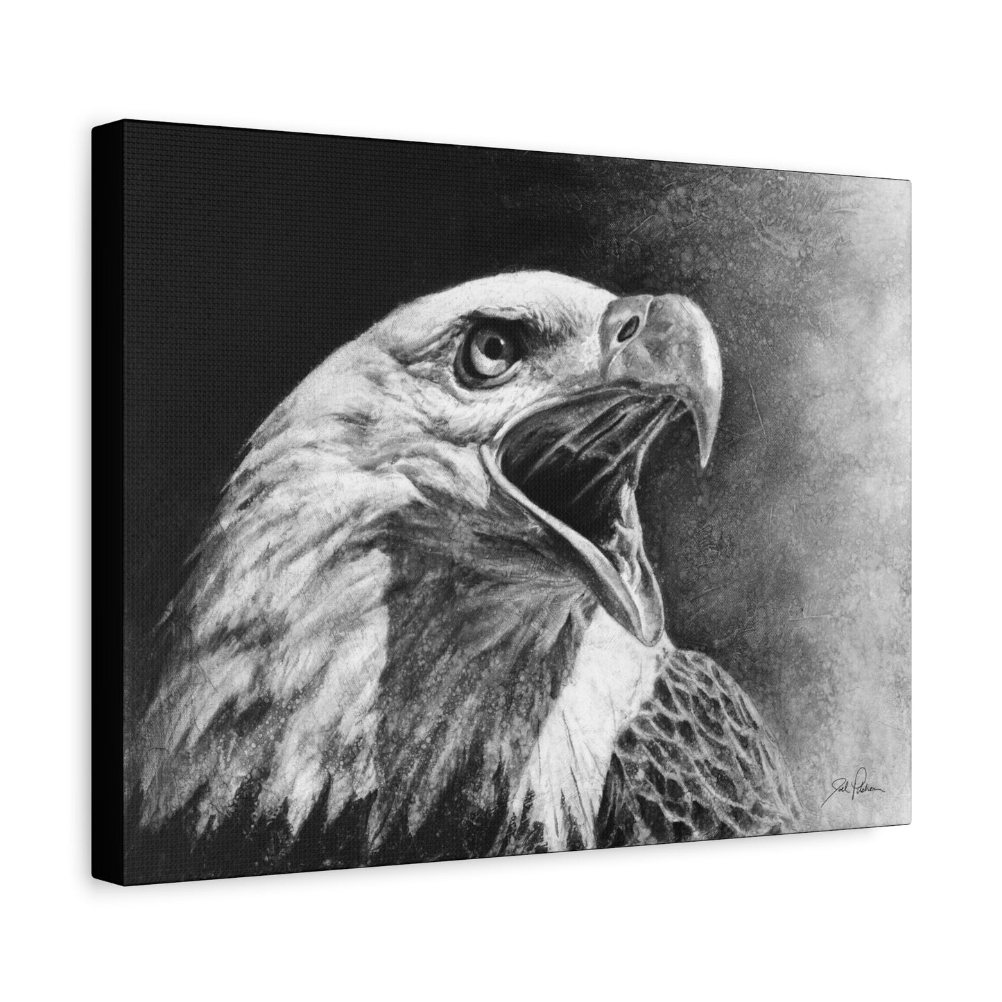 "Bald Eagle" Stretched Canvas