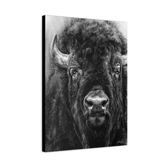 "Tatanka" Stretched Canvas