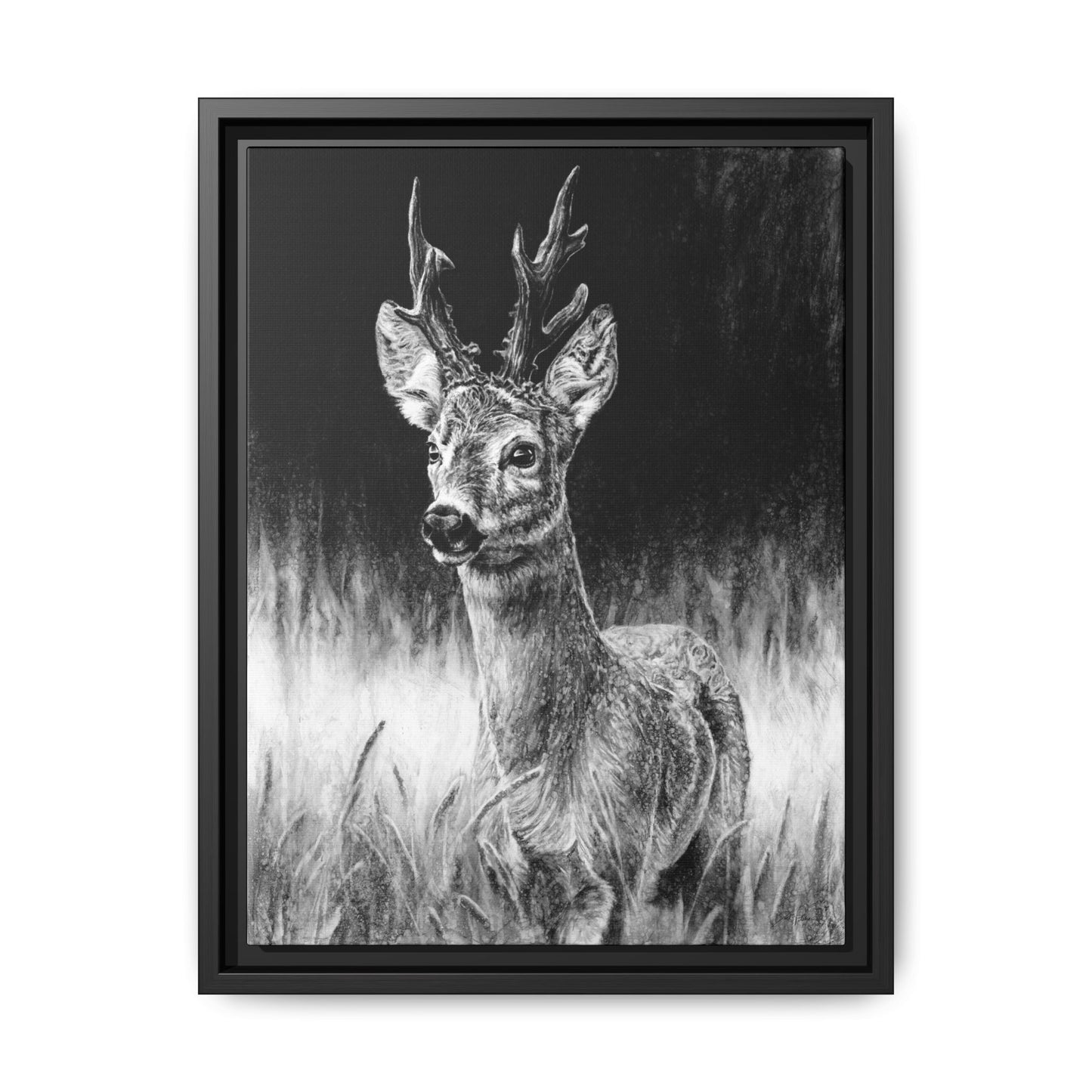 "Roe Deer" Framed Canvas