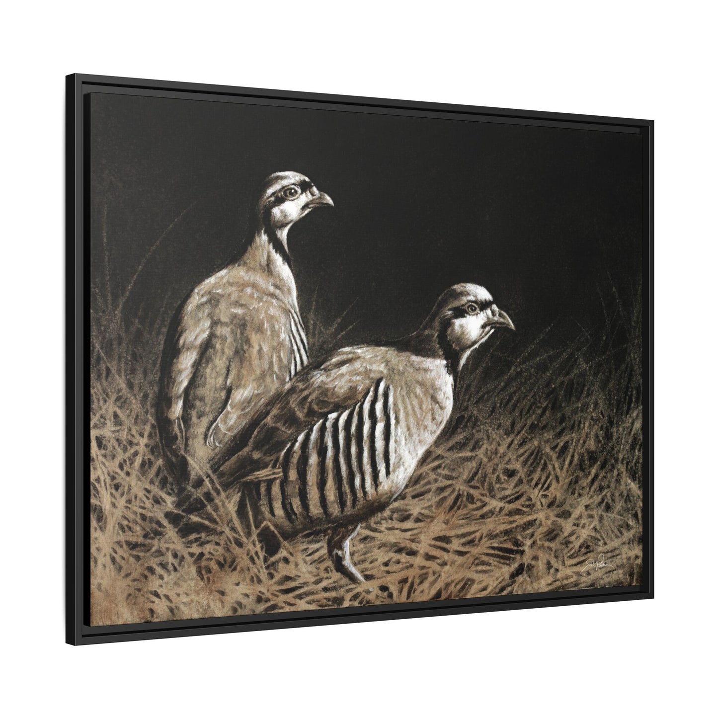 "Chukars" Framed Canvas