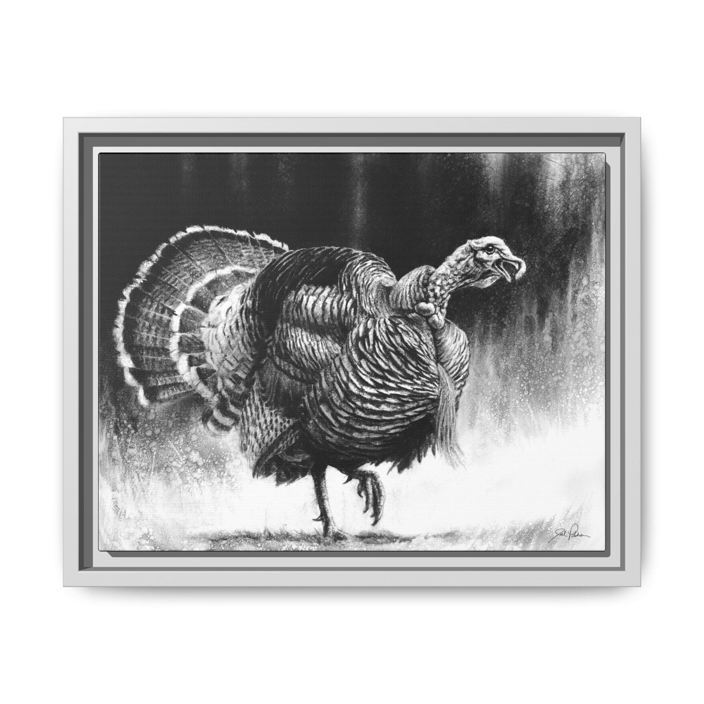 "Gobbler" Framed Canvas