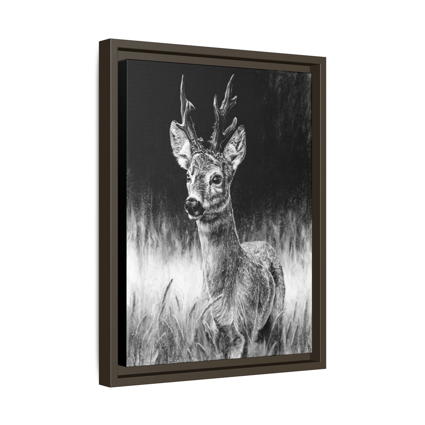 "Roe Deer" Framed Canvas