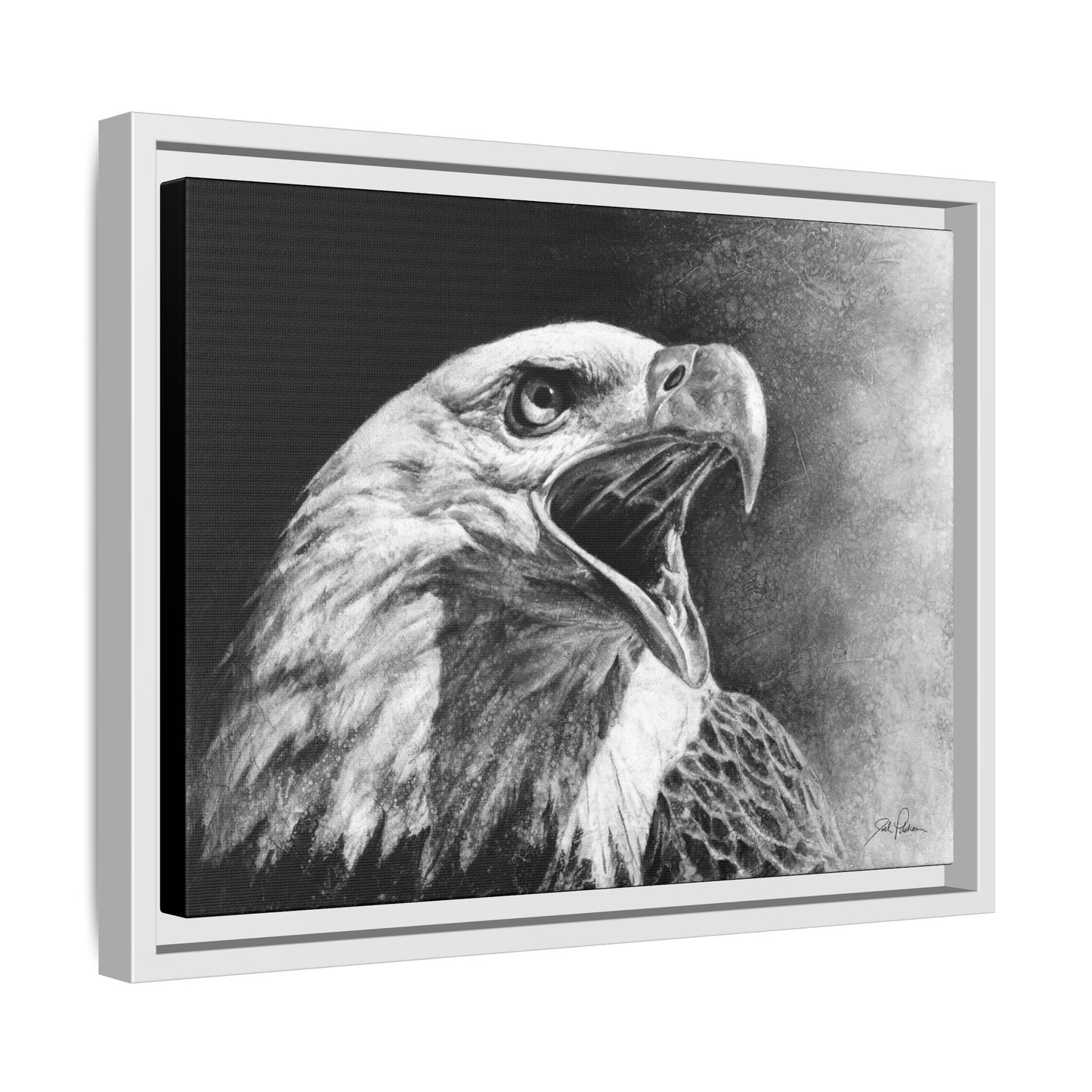 "Bald Eagle" Framed Canvas