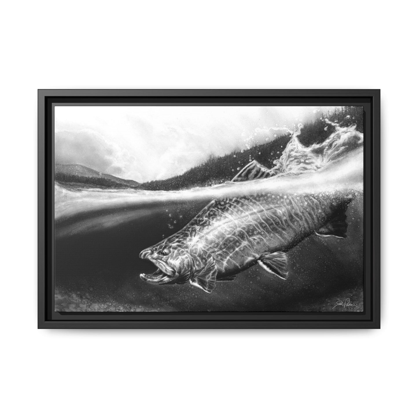 "Brook Trout" Framed Canvas