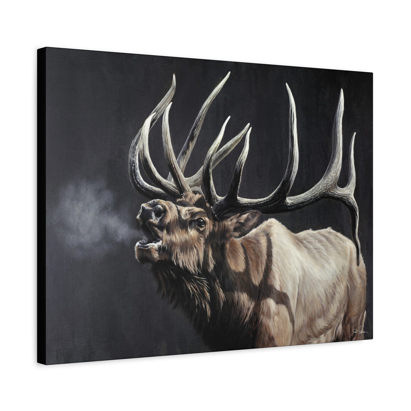 "Royal Persuasion" Stretched Canvas