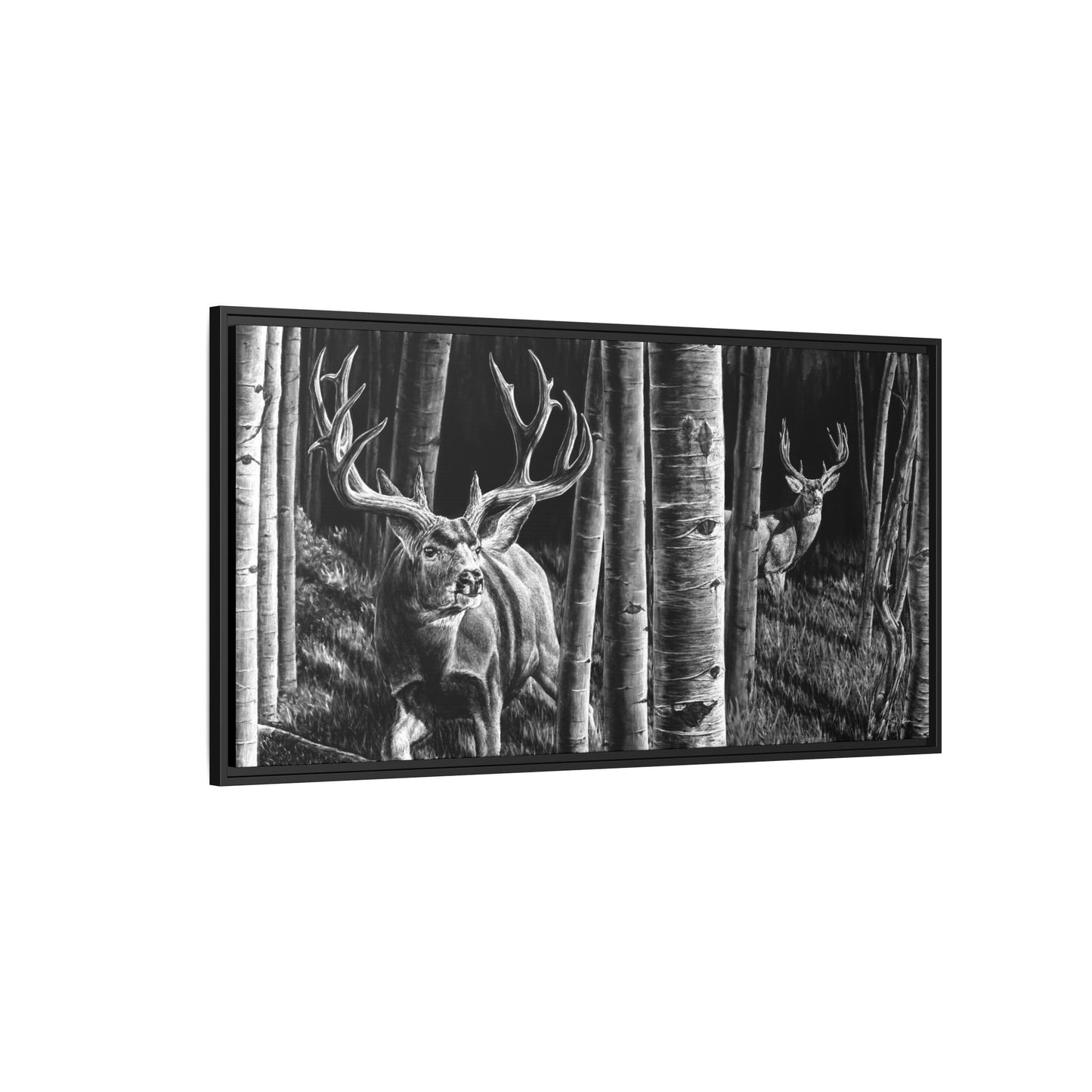 "Out of the Shadows" Framed Canvas