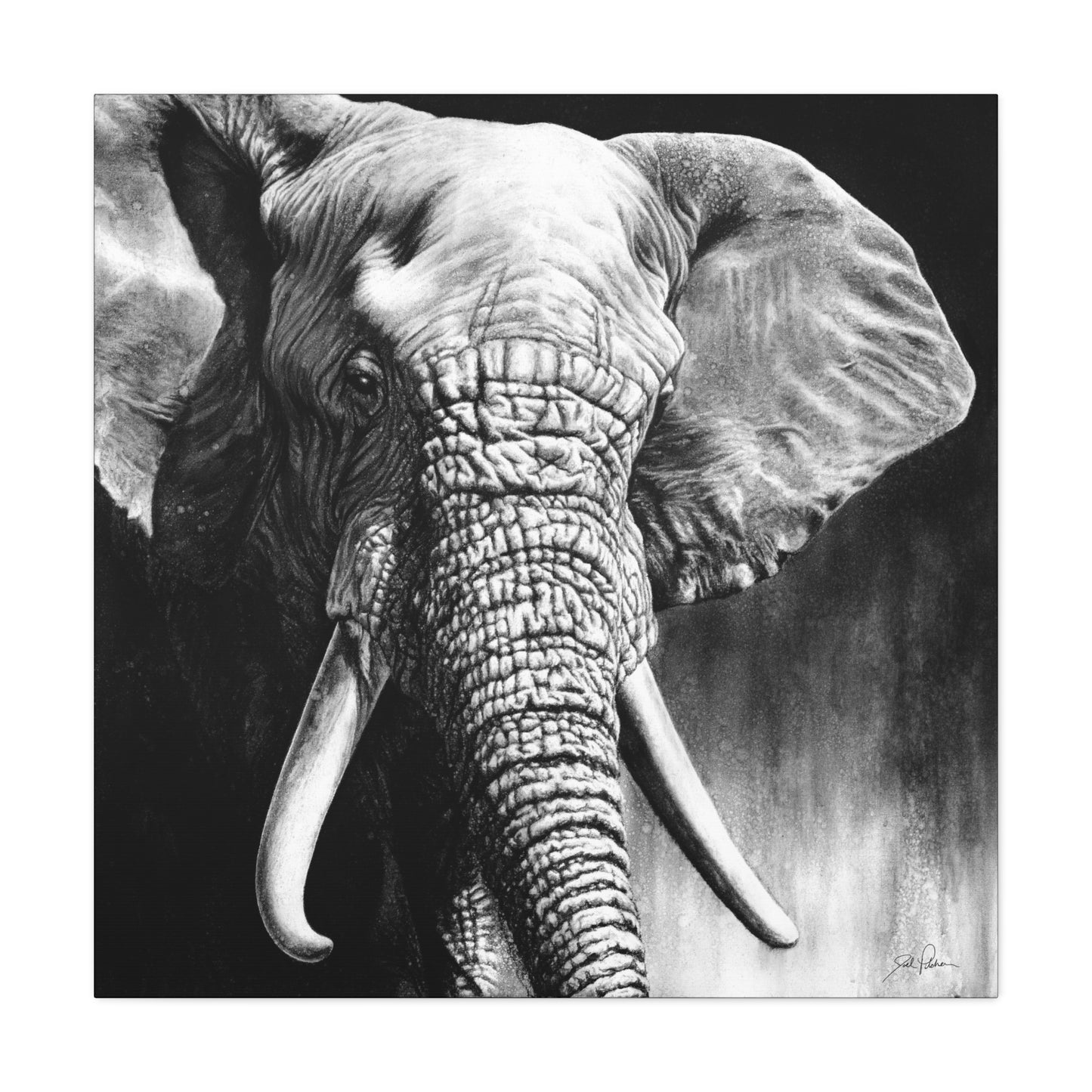 "High & Mighty" Stretched Canvas