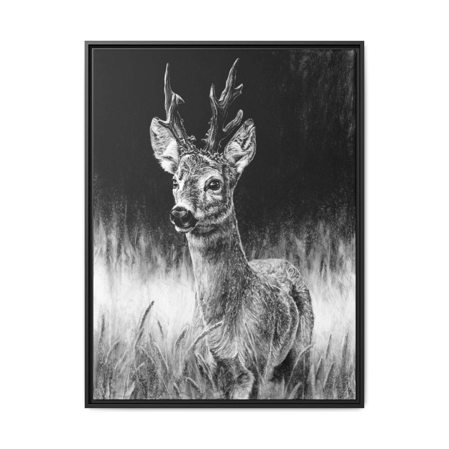 "Roe Deer" Framed Canvas
