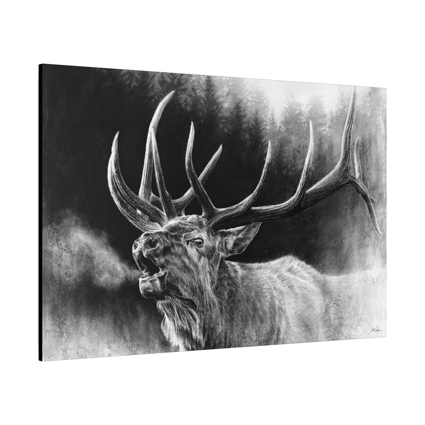 "Bugle Boy" Stretched Canvas