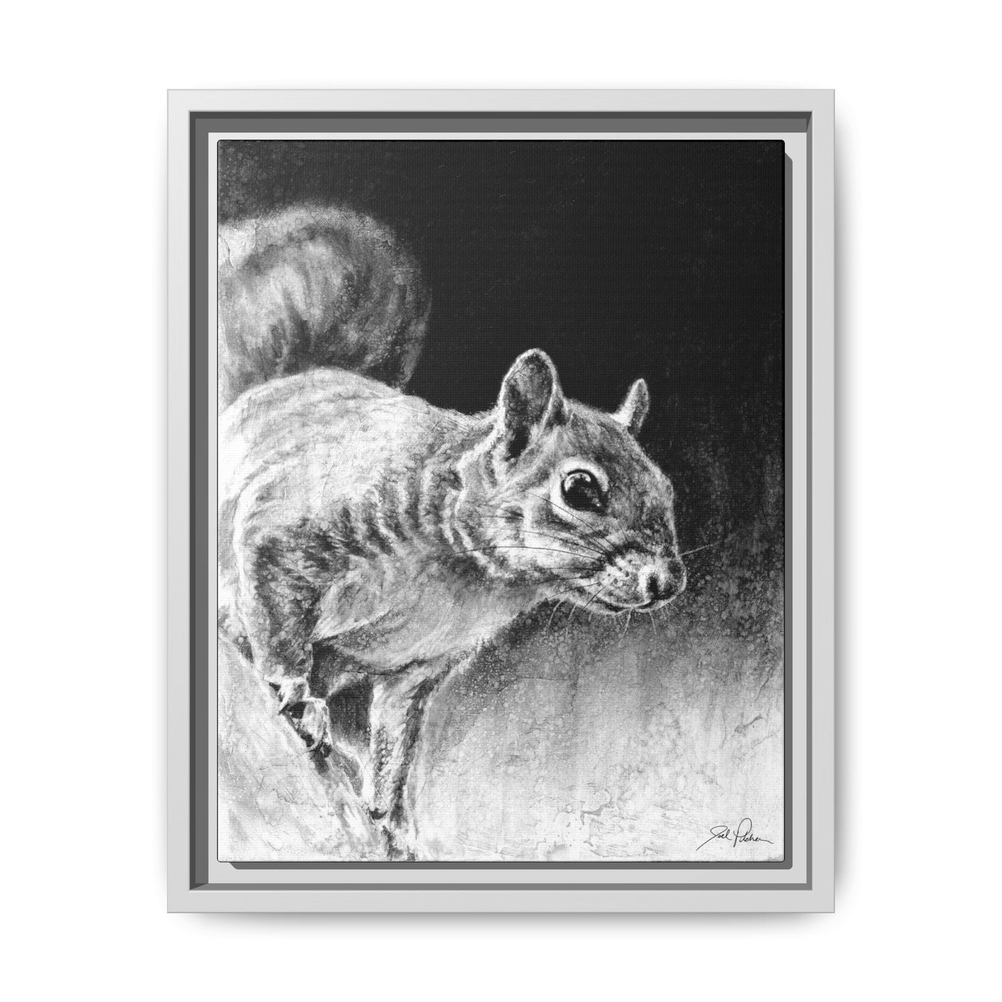 "Squirrel" Framed Canvas