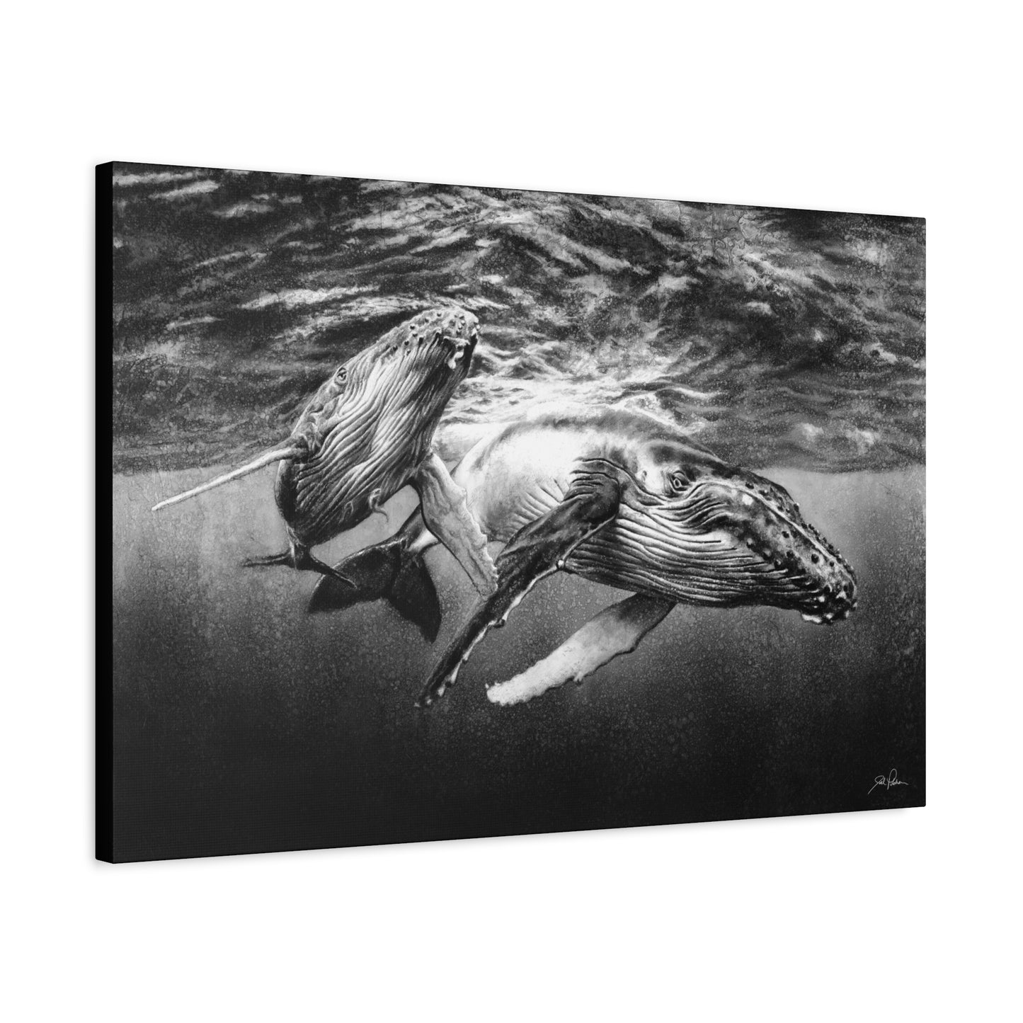 "Humpback Whales" Stretched Canvas