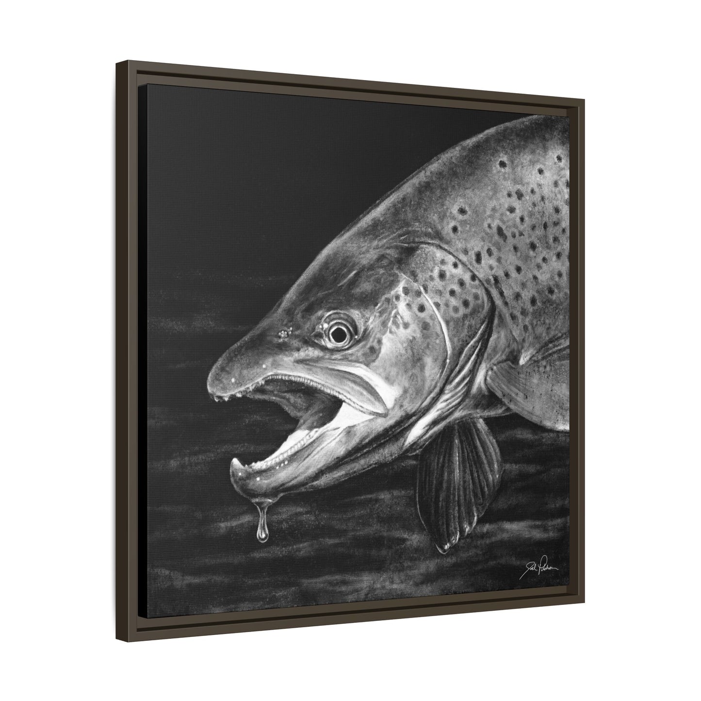 "Brown Trout" Framed Canvas