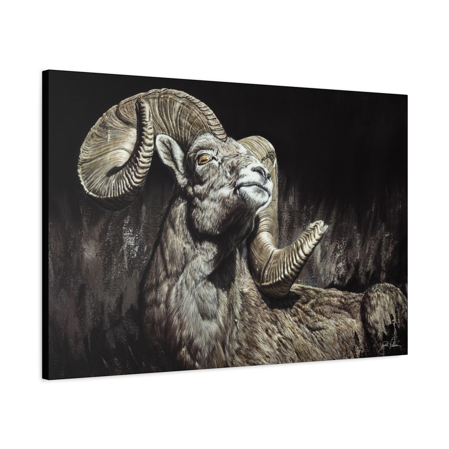 "Golden Eye" Stretched Canvas