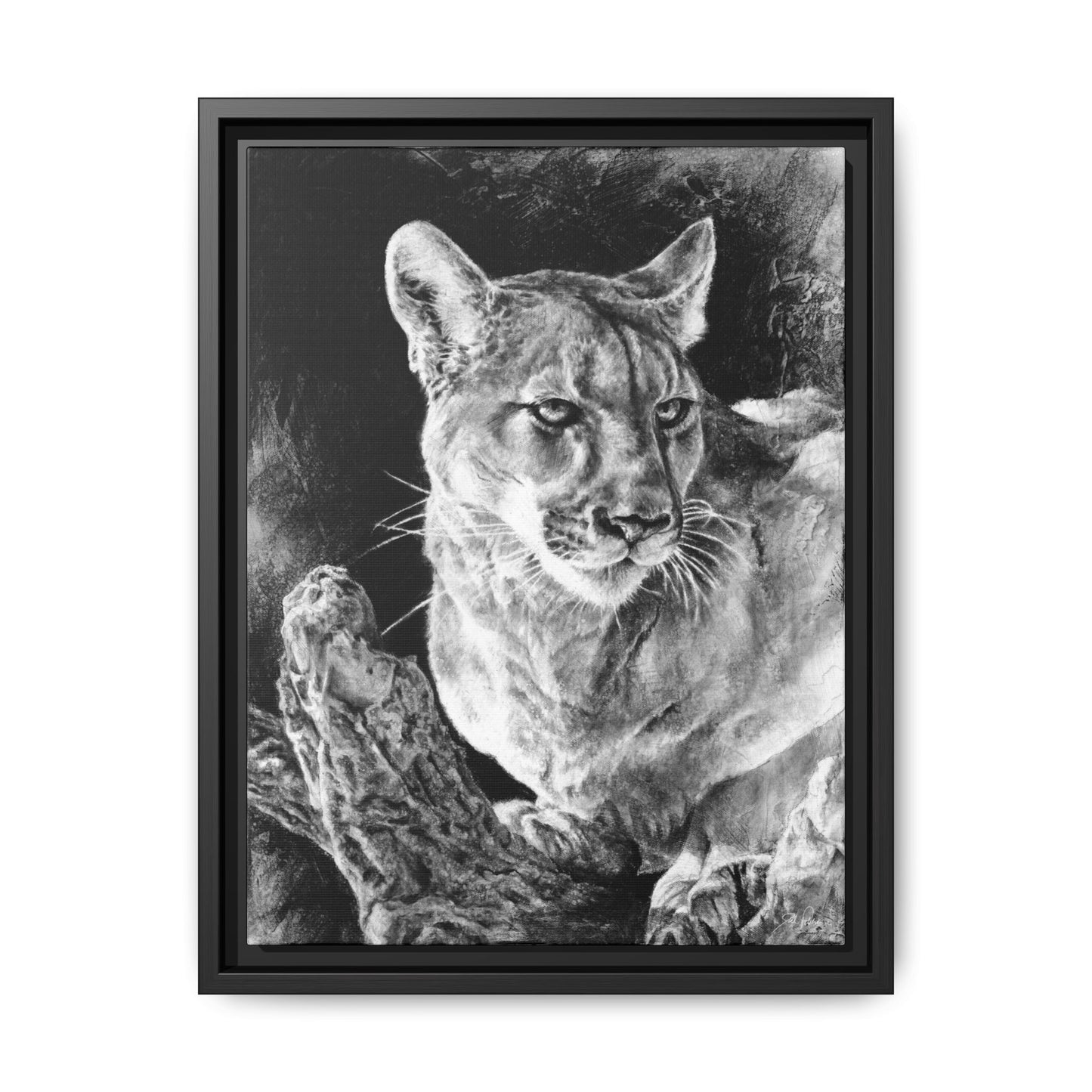 "Mountain Lion" Framed Canvas