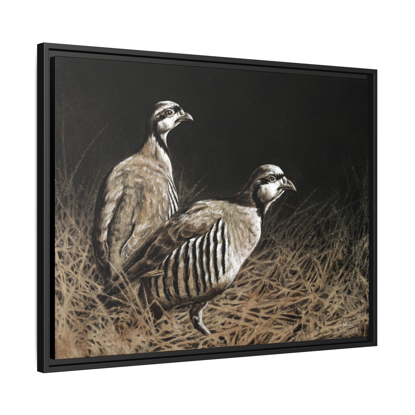 "Chukars" Framed Canvas